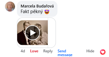 Recenzja na Facebooku 12
