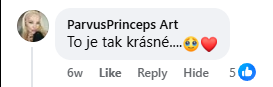 Recenzja na Facebooku 19