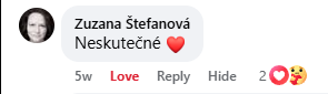 Recenzja na Facebooku 21
