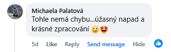 Recenzja na Facebooku 22